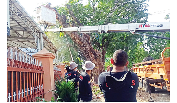 PEMANGKASAN POHON— Personel Satlinmas Satpol PP Kota Padang ikut membantu proses pemangkasan pohon yang dilakukan DLH di Jalan Karya Samping Gereja BNKP, Kecamatan Padang Selatan dan Jalan Gunuang Sago, Kelurahan Gunung Pangilun, Kecamatan Padang Utara, Kamis (6/7).