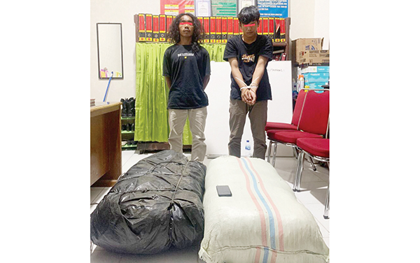 DUA KARUNG GANJA— Bawa dua karung berisi 50 Kg ganja, dua pemuda ditangkap Satrersnarkoba Polres Padangpariaman, Minggu (2/7).