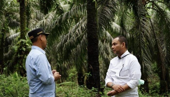 Iswan Achir, Sosok Hebat di Balik Laba Besar Tiga Tahun Beruntun PTPN VI
