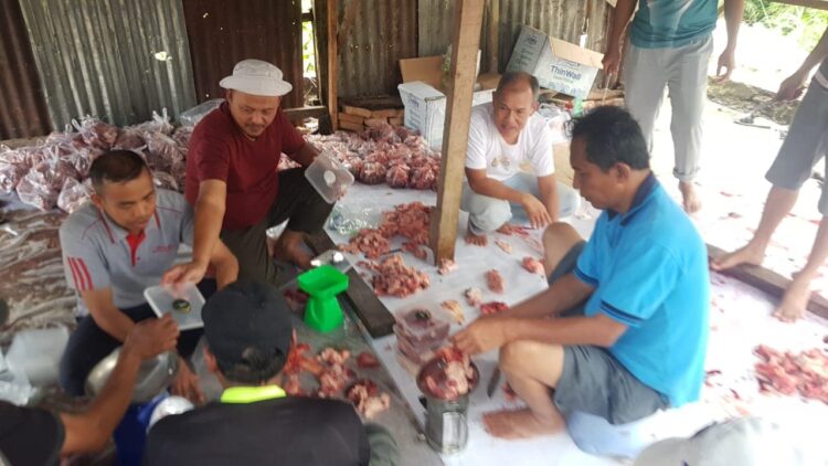 PEMBAGIAN DAGING KURBAN— Para panitia kurban di Mushalla Assalam, Kelurahan Silaing Bawah, Kecamatan Padang Panjang Barat memasukkan daging ke dalam box siap untuk dibagikan kepada warga.