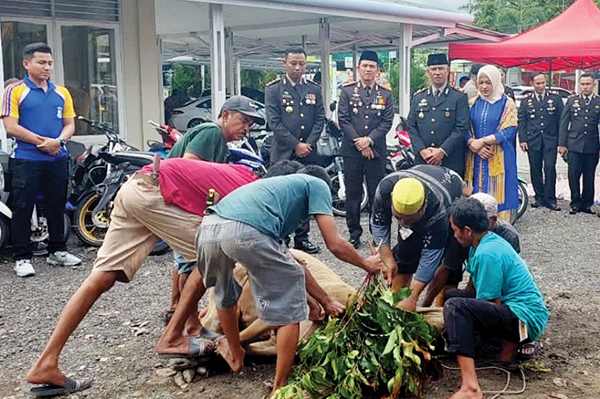 HEWAN KURBAN— Kapolresta Padang Kombes Pol Ferry Harahap, SIK.MSI, Wakapolresta Padang AKBP Ruly Indra Wijayanto, SIK.MSI, serta Kapolsek Kototangah AKP Afrino menyaksikan pemotongan hewan kurban, Sabtu (1/7) pagi, di Mapolsek Kototangah.