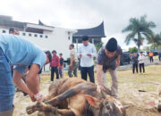 Korpri Bukittinggi Gelar Kurban untuk Warga Kurang Mampu