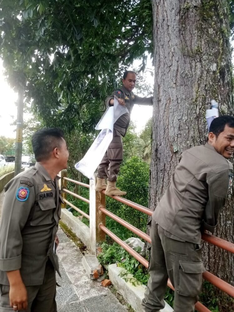TERTIBKAN APS— Personel Satpol PP Kota Padang Panjang saat melakukan penertiban APS parpol.