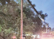 Cuaca Ekstrem, PLN  Evakuasi Jaringan Terdampak