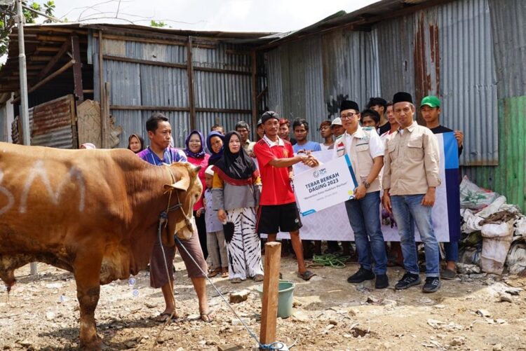 YBM PLN Salurkan 1.444 Hewan Kurban Ke Seluruh Indonesia 1 HEWAN KURBAN--YBM PT PLN menyalurkan hewan kurban sebanyak 952 ekor sapi dan 492 kambing di seluruh Indonesia.