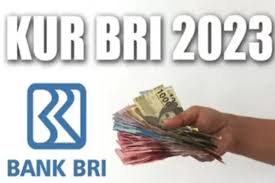 Syarat Ajukan Pinjaman KUR BRI 1 images 1