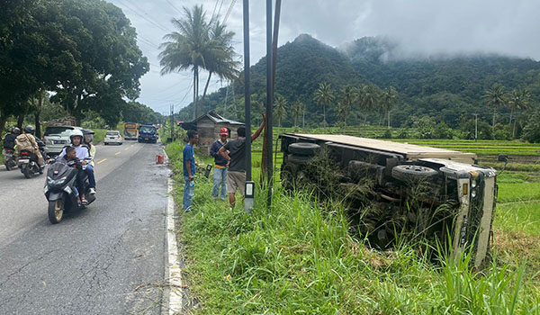 Truk Boks Bermuatan Susu Kemasan Terperosok ke Sawah 1 MASUK SAWAH— Truk boks terpersok ke sawah dengan posisi rebah.