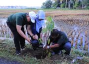 Sabtu Hijau, Wako Tanam Pohon di Pinggir Jalan Sawah Solok 