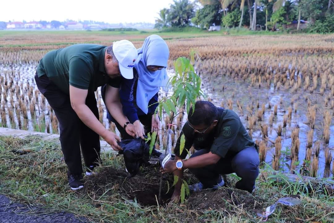 kegiatan Sabtu Hijau
