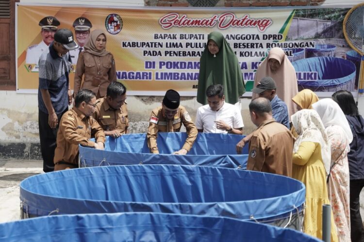 LEPAS BIBIT IKAN— Bupati Limapuluh Kota lepas bibit ikan lele di Pokdakan Cipta Kerja.