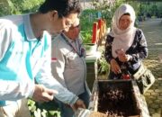 Lahan Bekas Tambang Disulap jadi Kebun Pembibitan