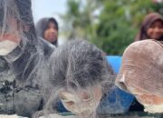 Peringati HUT RI ke-78, Mahasiswa KKN Berbaur dengan Masyarakat Koto Ranah  