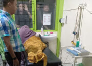 Pemotor Tewas Tertimpa Pohon Tumbang