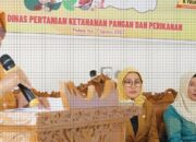 Dalam Rangka HUT RI ke-78, Pemkab Solok Selatan Sosialisasikan Lomba B2SA