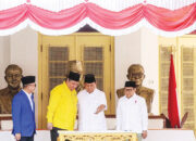 Punya Pengalaman Ekonomi dan Ketum Partai, Airlangga Dinilai Layak Jadi Cawapres