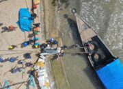 Komisi VI DPR RI Dukung Usulan PMN PLN untuk Program Listrik Desa