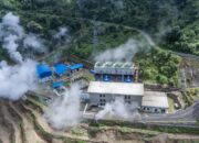 PLN Luncurkan Laporan TCFD Pertama untuk Mendukung Transisi Energi Rendah Karbon