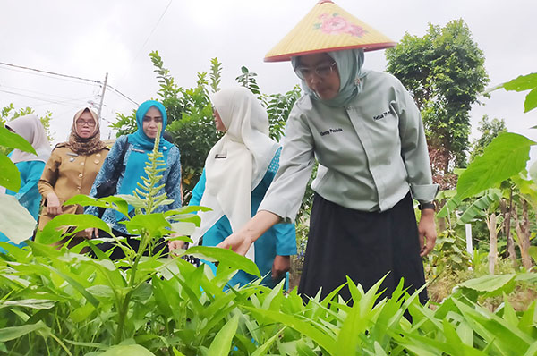 Ketua TP-PKK Padang Keliling Kelurahan 1 Ketua PPK Padang