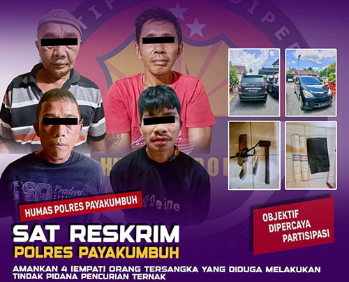 Pencuri Ternak Lintas Kabupaten Kota Ditangkap, Perannya Eksekutor, Pemotong hingga Penadah, Sapi, Kambing, Ayam dan Bebek jadi Sasaran 1 PENCURI TERNAK— Empat pelaku pencuri hewan ternak ditangkap jajaran Satreskrim Polres Payakumbuh.
