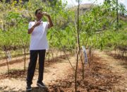 Punya Potensi Besar, PLN Kembangkan Biomassa Berbasis Keterlibatan Masyarakat