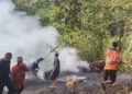 Diduga Bakar Sampah di Ladang, Wisata Puncak Cemara Nyaris Membara 10 Diduga Bakar Sampah di Ladang, Wisata Puncak Cemara Nyaris Membara