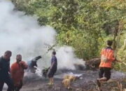 Diduga Bakar Sampah di Ladang, Wisata Puncak Cemara Nyaris Membara