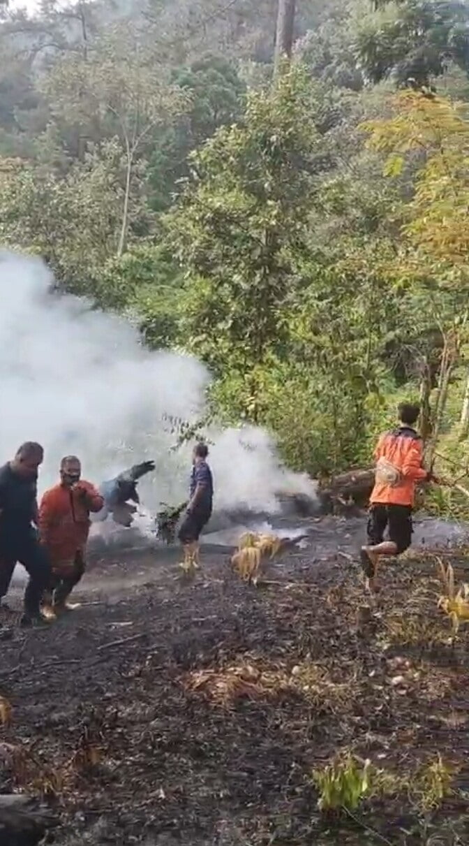 Diduga Bakar Sampah di Ladang, Wisata Puncak Cemara Nyaris Membara 1 PADAMKAN API—Tim gabungan bersama-sama memadamkan api pada ladang warga didekat objek wisata Cemara II Sawahlunto.
