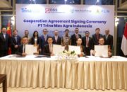 Gandeng Partner Tier-1, PLN Group Siap Produksi Solar Panel Dengan Teknologi Mutakhir