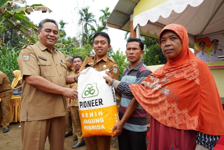 682 KPM Kenagarian Lubuk Gadang Timur Terima Bantuan Pangan 1 BERIKAN BANTUAN PANGAN—Bupati Solok Selatan yang diwakili Asisten Pemerintahan dan Kesra, Efi Yandri saat berikan bantuan pangan pada warga.
