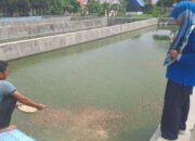 Tingkatkan Produksi sesuai Target, BBI Dituntut Lahirkan Inovasi