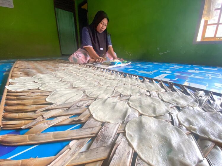 Harga Ubi Kayu Murah, Pembuat Kerupuk Ikut Terdampak 1 IKUT TERDAMPAK— Tesia Irenda (30), pemilik usaha kerupuk Ubi Asni yang berada di Jalan Datuak Parpatiah Nan Sabagang No 40, Keluaran Payobadar, Payakumbuh Timur, Kota Payakumbuah, ikut terdampak akibat harga ubi kayu yang murah