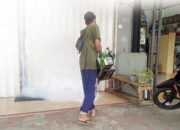 DBD jadi KLB di Sungai Aur, Pemkab Pasbar Gencarkan PSN dan Fogging