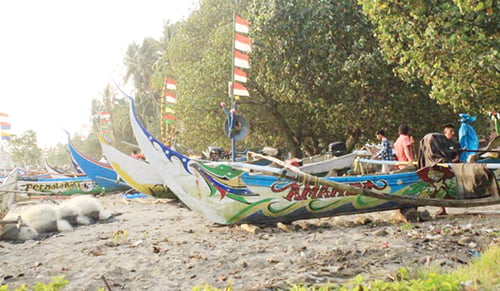 ISPU Mulai Turun, BPBD Tetap Imbau Warga Pakai Masker, Nelayan Pasia Jambak Mulai Produktif Melaut 1 ISPU di Kota Padang mulai turun para nelayan di Pasir Jambak tampak mulai produktif