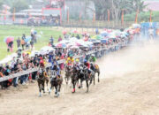 Kejuaraan Pacu Kuda Piala Gubernur, Beri Dampak Positif Ekonomi Warga Bukittinggi-Agam