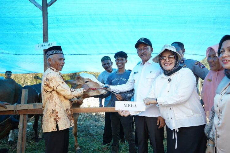 Progul ‘Nagari Tageh Suka Sapi Suka Durian’ Dilaunching, Motor Penggerak Peningkatan Perekonomian Setiap Nagari di Solsel 1 LAUNCHING PROGUL— Bupati Solok Selatan Khairunas secara resmi melaunching Program Unggulan (Progul) Nagari Tageh ‘Suka Sapi Suka Durian’ di Nagari Lubuk Gadang Utara, Rabu (25/10).