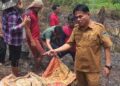 Bakar Lahan, Pemilik Ladang Gambir Tewas Terpanggang, Korban Diduga Gangguan Jiwa 11 Bakar Lahan, Pemilik Ladang Gambir Tewas Terpanggang, Korban Diduga Gangguan Jiwa