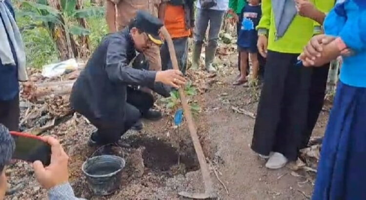 TANAM BIBIT—Dinas Pertanian Kota Solok melakukan penanaman bibit alpukat di lahan seluas 10 haktare. Warga diminta memanfaatkan lahan terlantar.