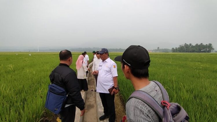 Dampak El Nino bagi Pertanian, Debit Air Irigasi Berkurang dari 50 Persen 1 KEKERINGAN— Tim Dinas Pertanian dan petani melihat langsung dampak kekeringan terhadap lahan persawahan.