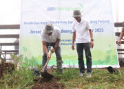 BRI Menanam, upaya berkelanjutan BRI perkuat penerapan prinsip ESG