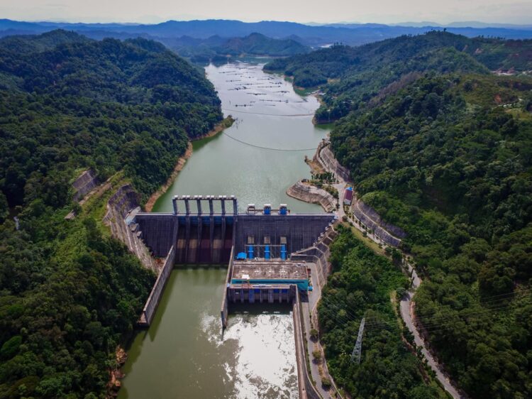 f0d81e8d 13f5 4987 86f5 8b33aaafc821