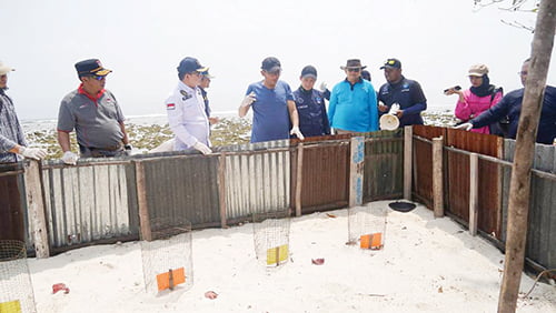 Keasrian Pulau Pandan, Rumah bagi Penyu Hijau, Lanjutkan KWT Gunung Padang dan Wisata Pulau Kecil 1 KUNJUNGI PULAU PANDAN— Wako Hendri Septa bersama rombongan LKKPN Pekanbaru, mengunjungi Pulau Pandan yang terletak sekitar 22,5 kilometer dari Muaro Padang, Sabtu (11/11). Pulau berada dalam Taman Wisata Perairan (TWP) Pieh itu, menjadi rumah bagi ratusan ribu penyu yang dilindungi terutama penyu hijau.