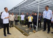 Dampingi Kunjungan Presiden di IKN, Dirut PLN Siap Penuhi Kebutuhan Listrik Dari Energi Bersih