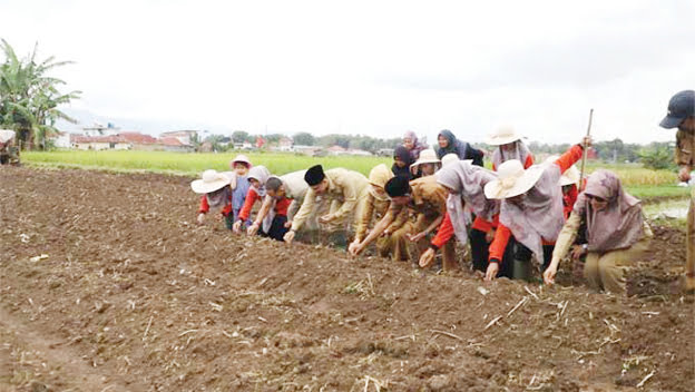 Beny Yusrial Salurkan Dana Pokir ke Kelompok KWT 1 TANAM JAGUNG— Ketua DPRD Kota Bukittinggi, Beny Yusrial, bersama-sama Camat ABTB Hastine Atas Asih, menanam jagung usai memberikan bantuan dana pokir kepada KWT Tunas Baru, Senin (6/11).