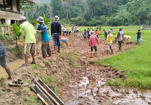 Warga Sungai Gayo Lumpo Goro Bersihkan Saluran Irigasi Sawah 1 GORO BERSIHKAN SALURAN IRIGASI— Bersama masyarakat dan petani, Wali Nagari Sungai Gayo Lumpo Nofrinol Edi, melaksanakan goro membersihkan saluran irigasi petani.