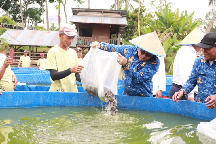 Pj Wako Jasman Lepas 20 Ribu Bibit Ikan Lele 1 LEPAS BIBIT IKAN— Pj Wali Kota Payakumbuh Jasman melepaskan 20 ribu bibit ikan lele di Pokdakan (Kelompok Pembudidaya Ikan) Lubuak Basamo, Kelurahan Koto Panjang Payobasung.