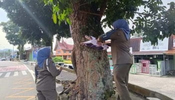 Ancam Keberlangsungan Tanaman Kota, Satpol PP Tertibkan Ratusan Baliho dan Spanduk Caleg 1 PENERTIBAN BALIHO— Petugas Satpol PP Kabupaten Agam menertibkan baliho dan spanduk calon anggota legislatif yang terpasang di pohon pelindung jalan utama.