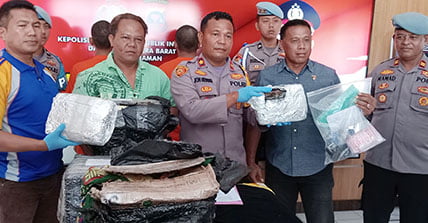 Meresahkan, 2 Bandit Narkoba Ditangkap, Salah Satunya Pemilik 11 Kg Ganja yang Ditemukan di JNE 1 PERLIHATKAN BUKTI— Wakapolres Pariaman Kompol Jon Hendri memperlihatkan barang bukti ganja 11 Kg ganja dan sabu milik dua pengedar yang ditangkap.