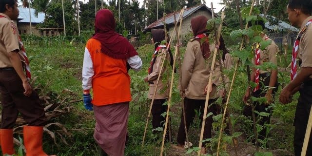 Calon Anggota Saka Taruna Bumi dan Kwartir Cabang Solok, Dikenalkan dengan Komoditi Pertanian 1 KENALKAN—Satuan Karya (Saka) Taruna Bumi dibawah bimbingan Dinas Pertanian Kota Solok dan Kwartir Cabang Kota Solok, saat mmeperkenalkan komoditi pertanian.