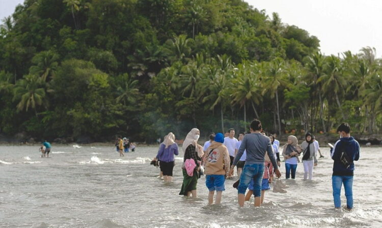 Mudahkan Akses Pengunjung, Pemko bakal Bangun Jembatan ke Pulau Pisang Ketek 1 Screenshot 20230702 135915 Instagram