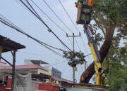 Pelayanan Maksimal, PLN dan DLH Pangkas Pohon Bersama